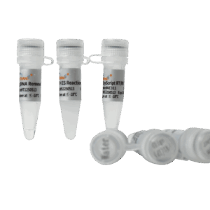 EasyScript® One-Step gDNA Removal and cDNA Synthesis SuperMix (100 rxns×20 µl system)