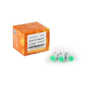 pEASY®-T1 Cloning Kit (20 rxns)