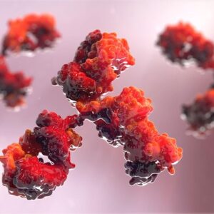 Anti-APC Antibody, 1 mg