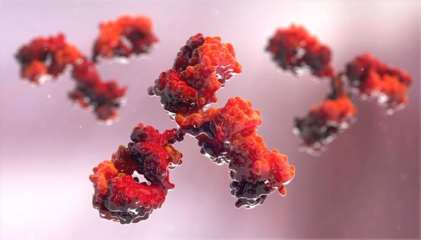 Anti-APC, HRP-Labeled Antibody, 0.1 mg