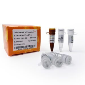 Colorimetric pH Sensitive LAMP Kit (DNA/RNA) (100 rxns)