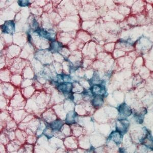 TrueBlue™ Peroxidase Substrate, 10 mL