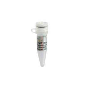 DMT Enzyme (200 units)