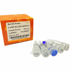 Bst III Probe LAMP Kit (DNA&RNA) (100 rxns)