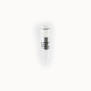 High Pure dNTPs (10 mM) [1 ml]