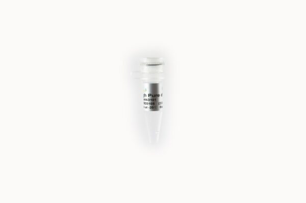 High Pure dNTPs (10 mM) [1 ml]