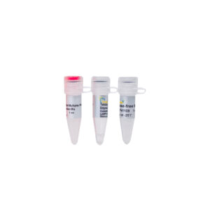 TransScript® II Multiplex Probe One-Step qRT-PCR SuperMix UDG (100 rxns×20 µl system)