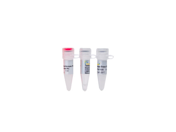 TransScript® II Multiplex Probe One-Step qRT-PCR SuperMix UDG (400 rxns×20 µl system) (cópia)