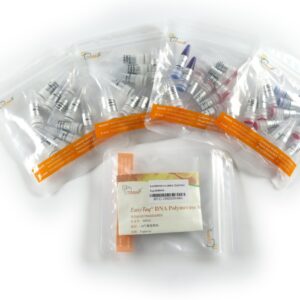 EasyTaq® DNA Polymerase for PAGE (with 2.5 mM dNTPs) [2500 units]