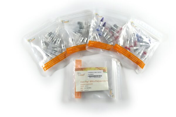 EasyTaq® DNA Polymerase for PAGE (with 2.5 mM dNTPs) [2500 units]