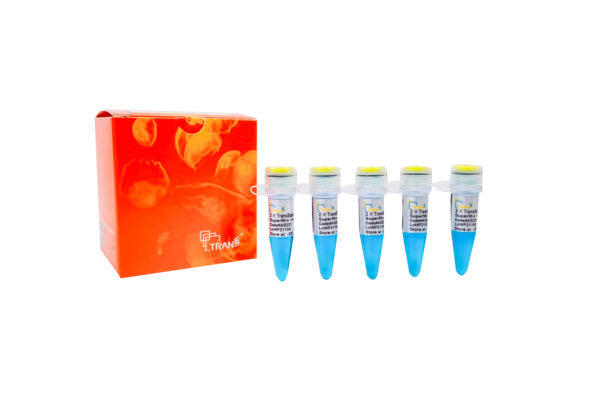 2×TransStart® FastPfu Fly PCR SuperMix (+dye) [1 ml]