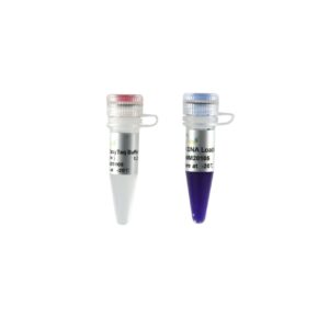 EasyTaq® DNA Polymerase for PAGE (2500 units)