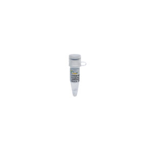 Universal Nuclease (GMP Grade) [25 KU]