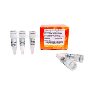 TransScript® Uni All-in-One First-Strand cDNA Synthesis SuperMix for qPCR (One-Step gDNA Removal) [100 rxns]