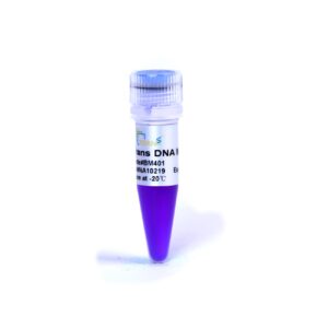 Trans DNA Marker I (500 µl)