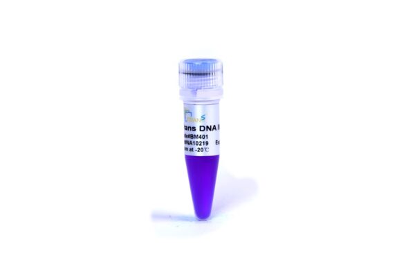 Trans DNA Marker II (500 µl)