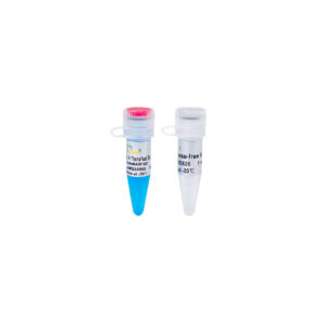 2×TransFast® Taq PCR SuperMix (+dye) [1 ml]
