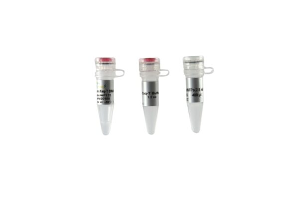 TransTaq® -T DNA Polymerase (with 2.5 mM dNTPs) [6x500 units]
