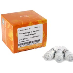 TransScript® II Reverse Transcriptase[M-MLV,RNaseH-] (High Temperature RT) (10000 units)