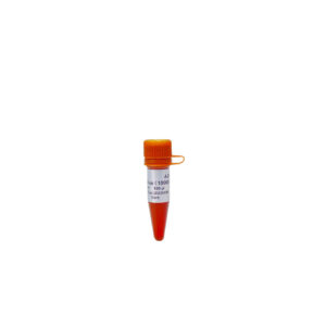 GelStain Blue (1 ml)