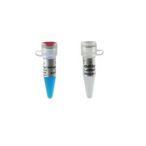 2×TransTaq®-T PCR SuperMix (+dye) [1 ml]