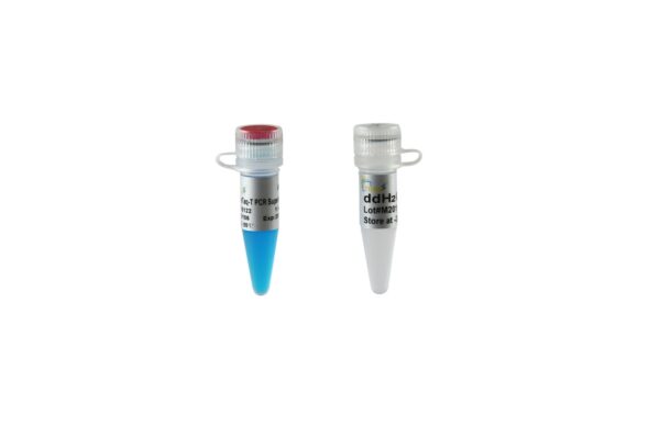 2×TransTaq®-T PCR SuperMix (+dye) [5x1 ml]