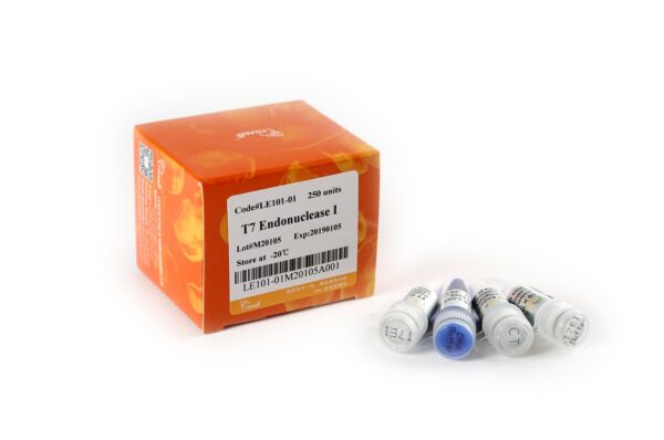 T7 Endonuclease I (250 units)