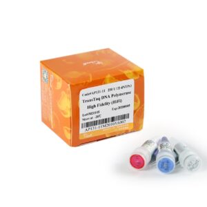TransTaq® DNA Polymerase High Fidelity (HiFi) (with 2.5 mM dNTPs) [250 units]