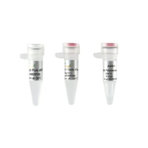 TransFast® Taq DNA Polymerase(with 2.5 mM dNTPs) [6x500 units]