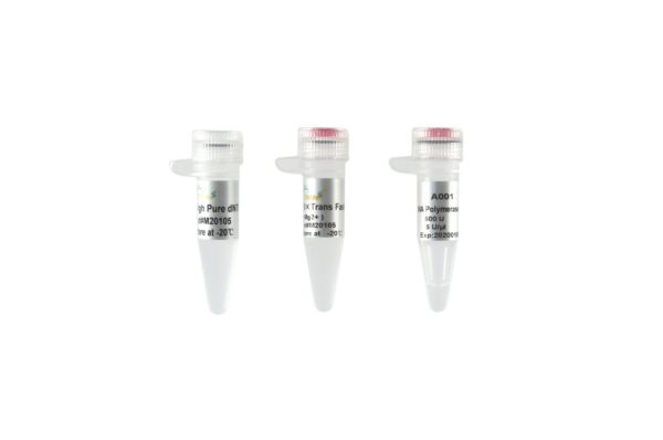 TransFast® Taq DNA Polymerase(with 2.5 mM dNTPs) [500 units]