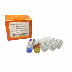 Bst III Fluorescent LAMP Kit (DNA&RNA) (100 rxns)