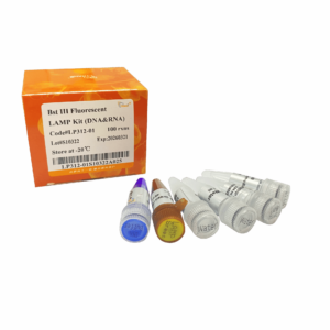 Bst III Fluorescent LAMP Kit (DNA&RNA) (100 rxns)