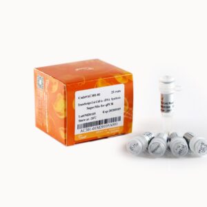 TransScript® Uni Cell to cDNA Synthesis SuperMix for qPCR (25 rxns)
