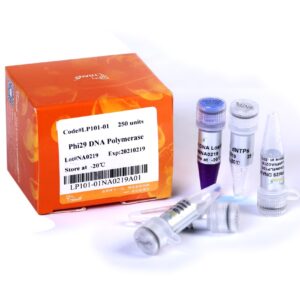 Phi29 DNA Polymerase (250 units)