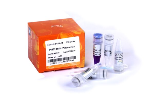 Phi29 DNA Polymerase (5x250 units)