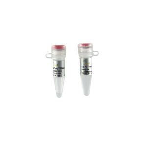 TransTaq® -T DNA Polymerase (250 units)