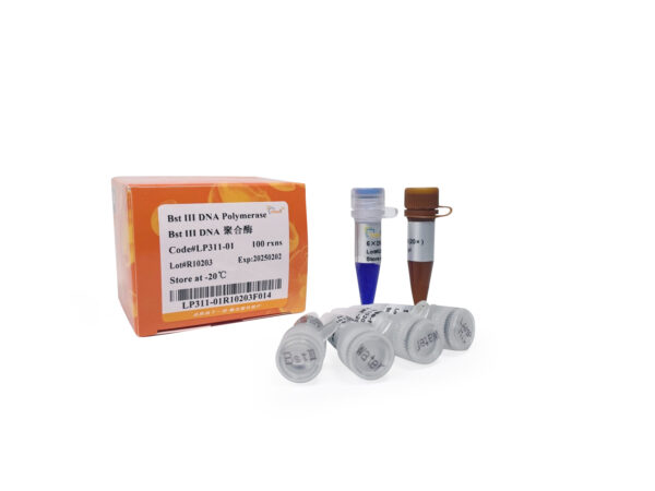 Bst III DNA Polymerase (200 rxns)