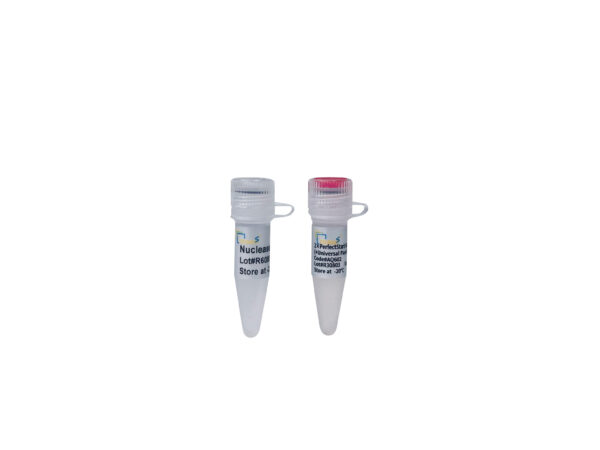 PerfectStart® Green qPCR SuperMix (+Universal Passive Reference Dye) (5x1 ml)