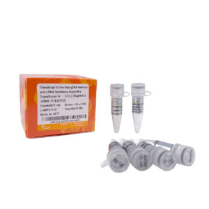 TransScript® IV One-Step gDNA Removal and cDNA Synthesis SuperMix (100 rxns)