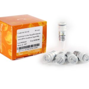 TransScript® Uni One-Step gDNA Removal and cDNA Synthesis SuperMix (100 rxns×20 µl system)
