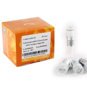 TransScript® miRNA First-Strand cDNA Synthesis SuperMix (20 rxns×20 µl system)