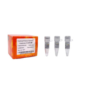 TransScript® IV Reverse Transcriptase [M-MLV, RNase H-] (Anti Inhibition High Temperature RT) (10000 units)