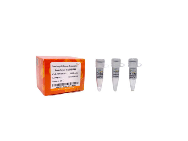 TransScript® IV Reverse Transcriptase [M-MLV, RNase H-] (Anti Inhibition High Temperature RT) (10000 units)