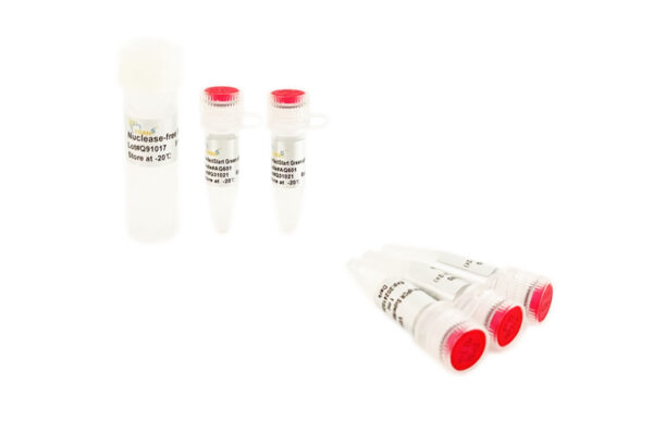 PerfectStart® Green qPCR SuperMix (5x1 ml)