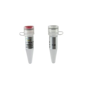 2×TransTaq®-T PCR SuperMix (-dye) [1 ml]