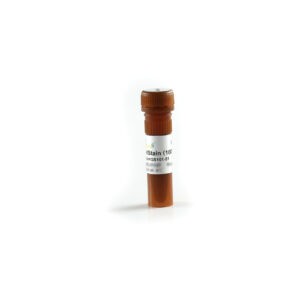 GelStain (1 ml)