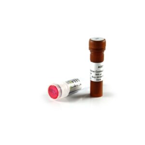 ProteinSafeTM Protease Inhibitor Cocktail (100×) [1 ml]