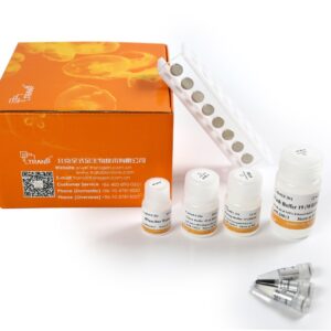 MagicPure® Viral DNA/RNA Kit (without Magnetic Stand) (50 rxns)