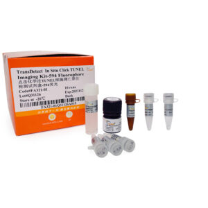 TransDetect® In Situ Click TUNEL Imaging Kit-594 Fluorophore (10 rxns)