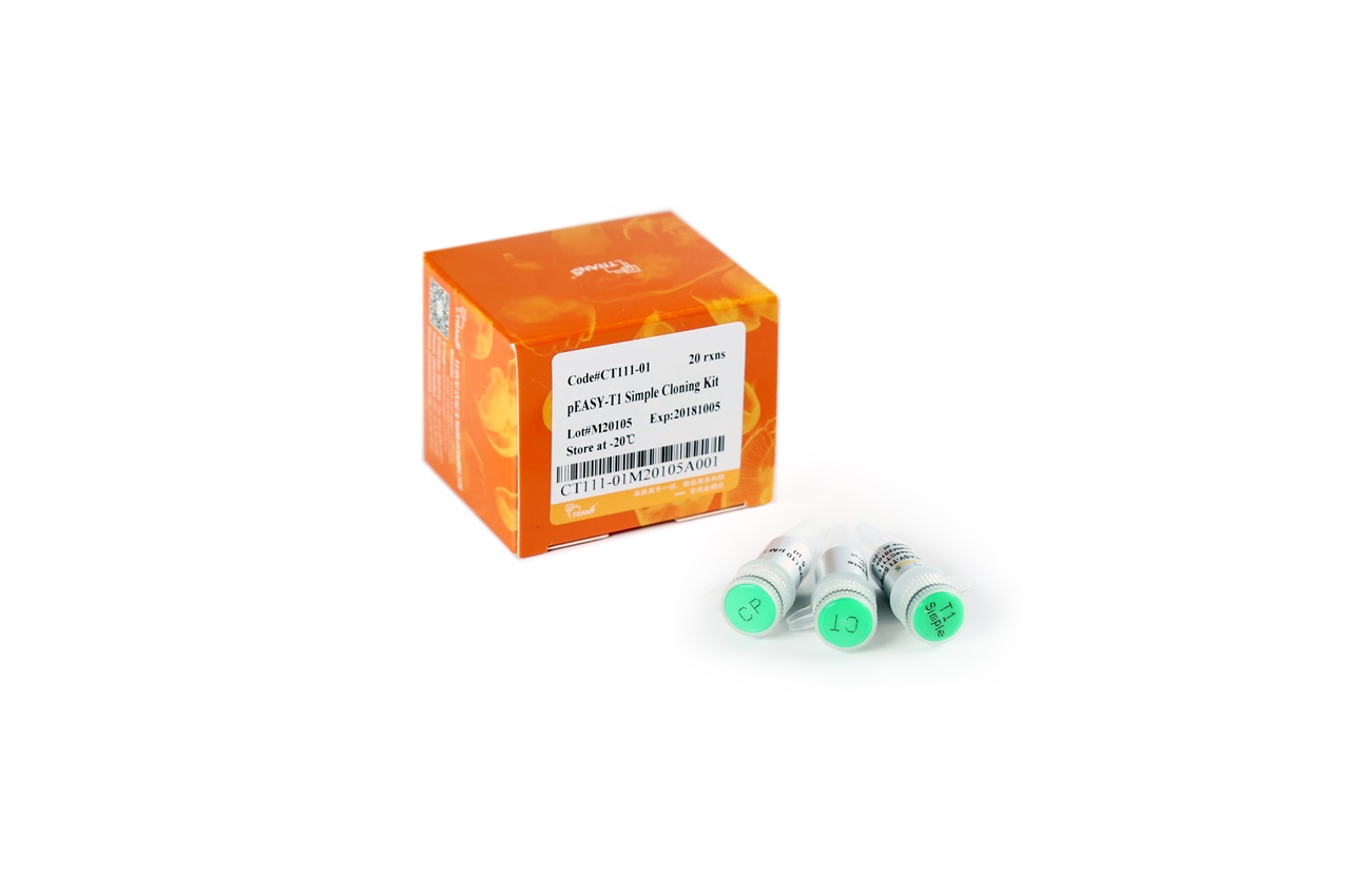 pEASY®-T1 Simple Cloning Kit (60 rxns)